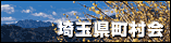 ʌ